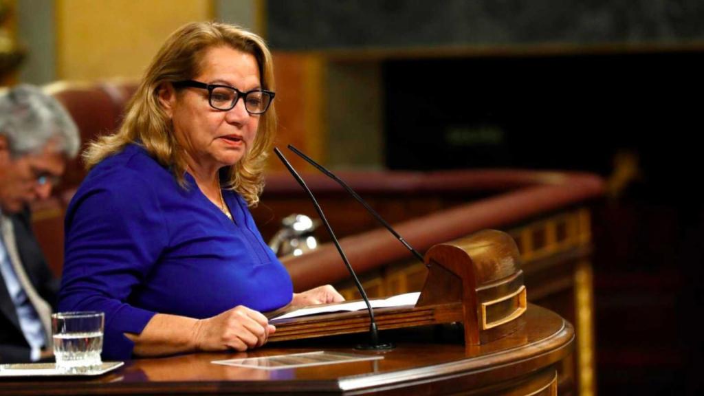 Meri Pita, durante una intervención en el Congreso de los Diputados.