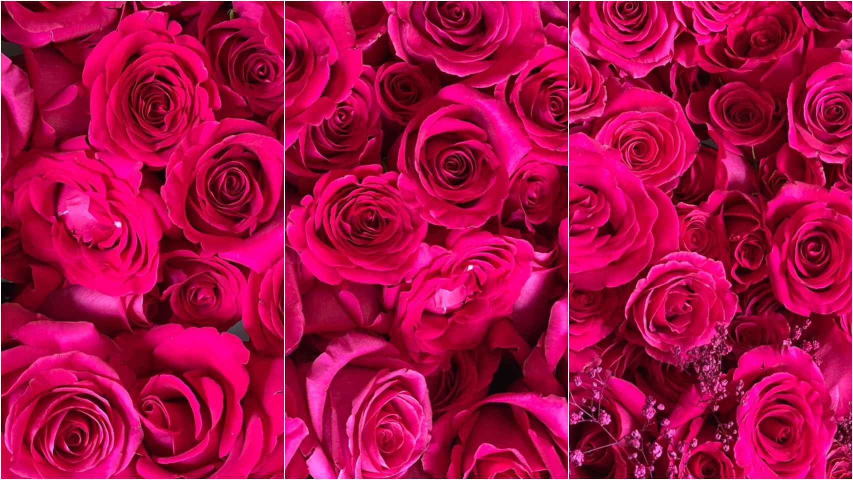 Algunas de las 1.200 rosas exóticas que han llegado hasta casa de los invitados a la gran fiesta de Carla Hinojosa.