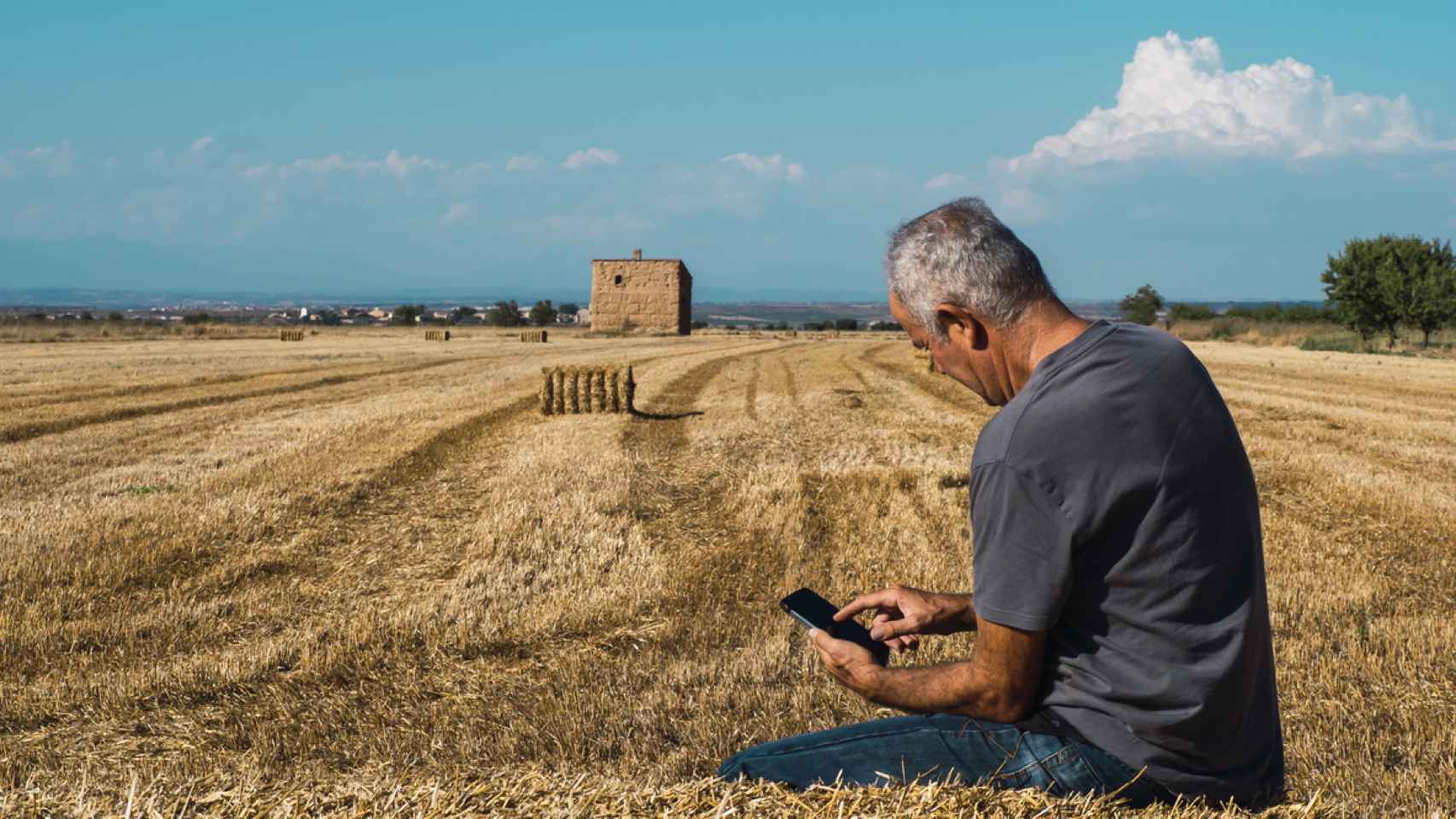 Un hombre mira su teléfono en mitad del campo