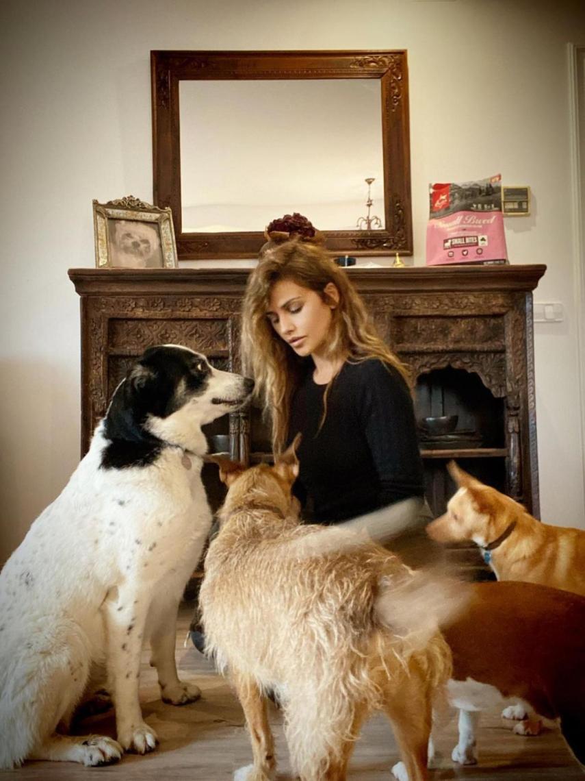 Mónica Cruz junto a sus seis perros adoptados.