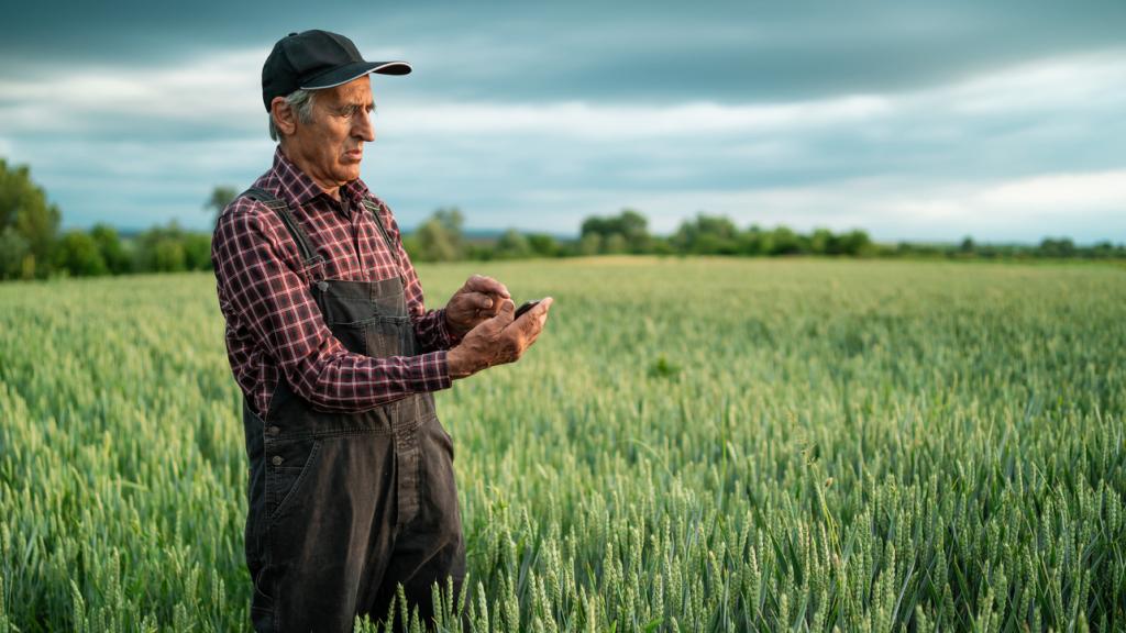 Un hombre mirando su teléfono móvil en mitad de un campo de cultivo.