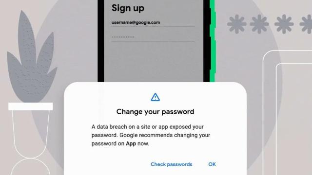 Password Breach
