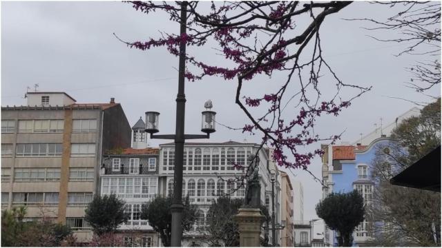 Plaza de Amboage en Ferrol.