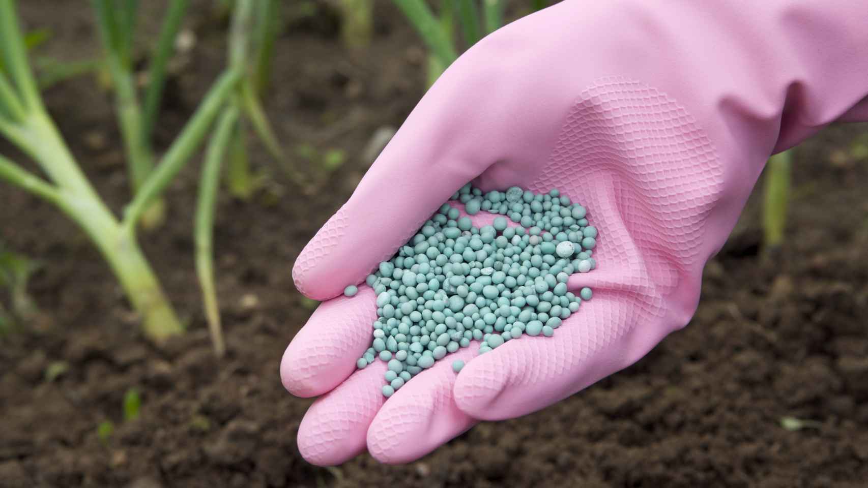 El fosfato es muy utilizado para elaborar fertilizantes