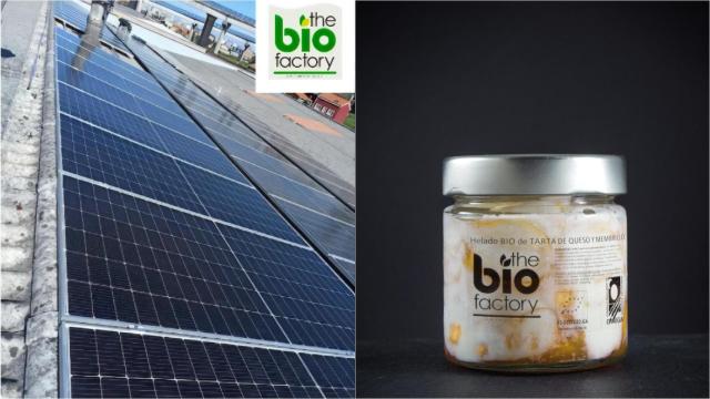 Paneles solares y helado ecológico de The Bio Factory.