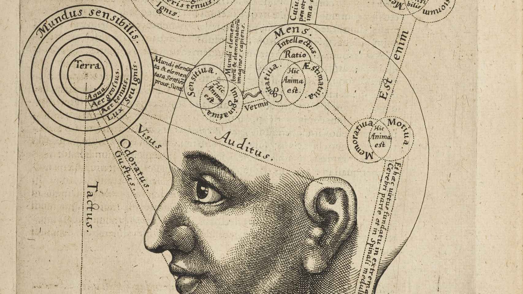 Dibujo del triple alma del hombre, según Robert Fludd (1618).