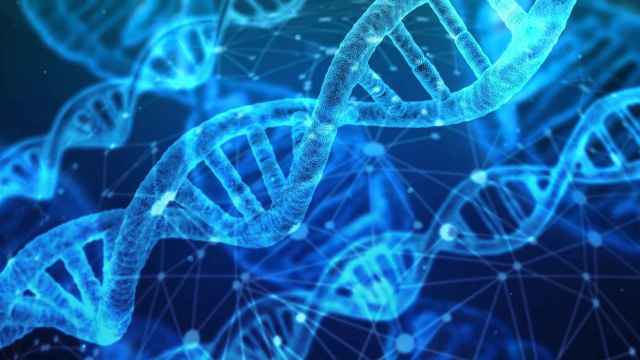 Cadena de ADN. Foto: Pixabay
