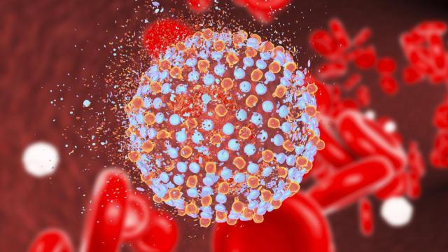 El CHUAC de A Coruña avanza en la eliminación de la hepatitis C con un nuevo plan asistencial