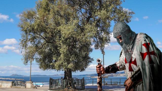 El olivo plantado por templarios que da sobrenombre a la ciudad de Vigo
