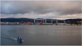 Luz verde a un informe sobre las causas de la caída de la producción marisquera en Ferrol