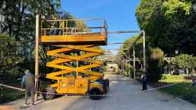 Operarios retirando la estructura de madera del mercadillo navideño de la Alameda.