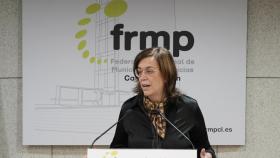 La presidenta de la FRMP y de la Diputación de Palencia, Ángeles Armisén