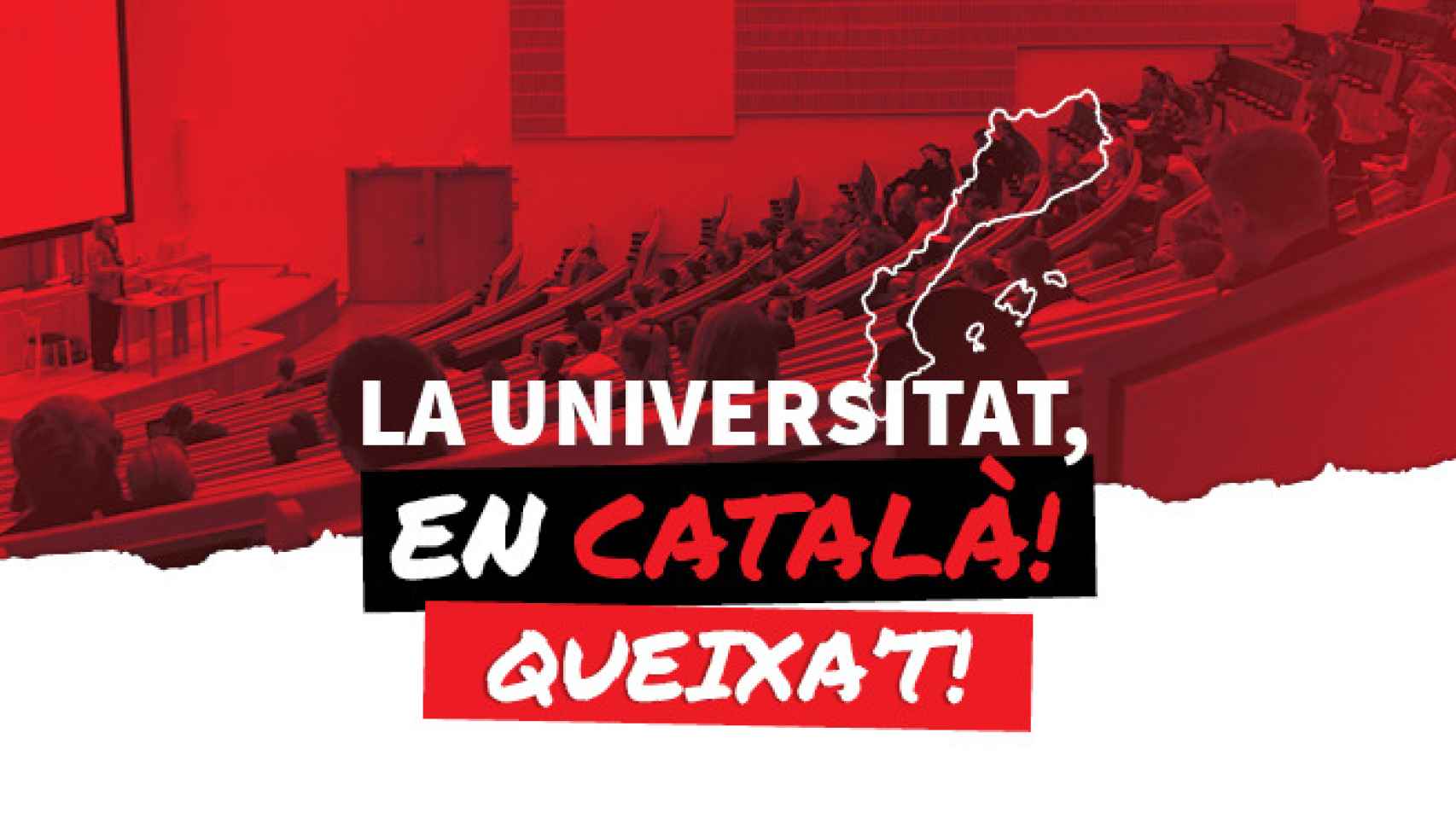 Imagen promocional de 'La universitat, en català', web de la 'Plataforma per la Llengua' para señalar a profesores. EE