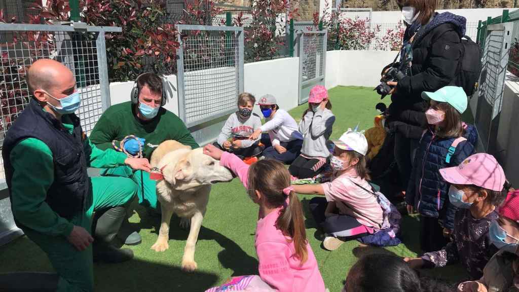 Escolares con uno de los perros del CAAN.