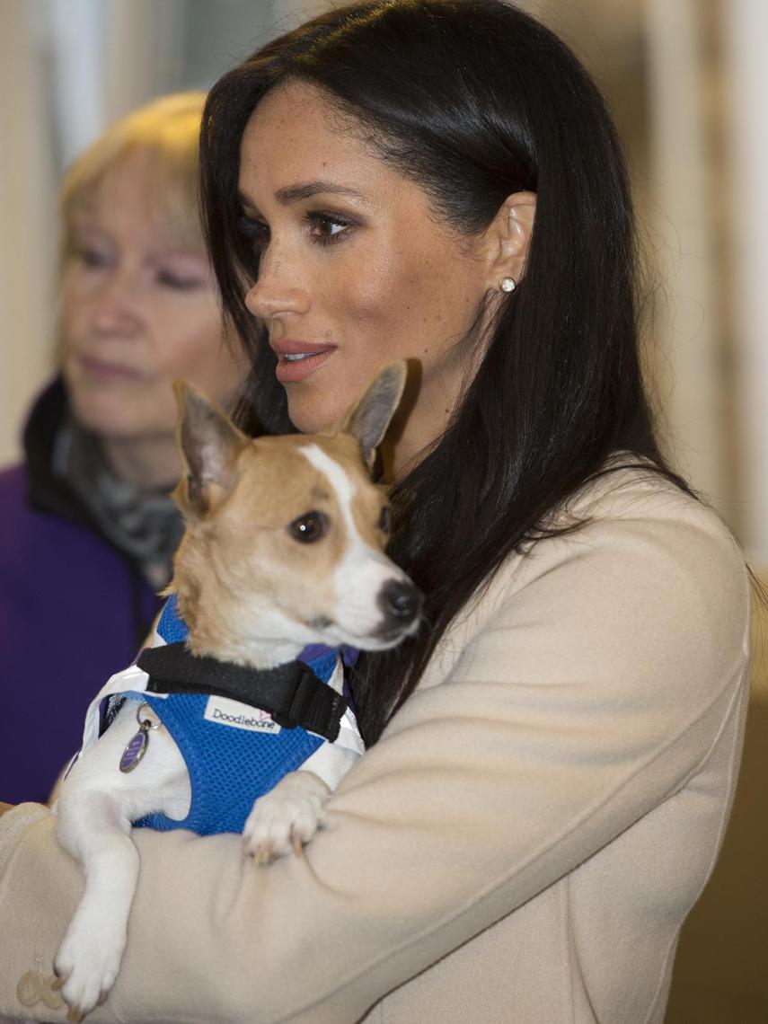 Meghan, en su visita al centro Mayhew en enero de 2019.