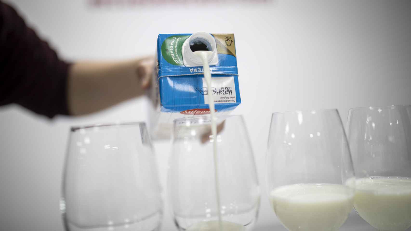 Antes de la prueba, EL ESPAÑOL sirve cada leche entera en cinco copas para realizar la cata a ciegas.