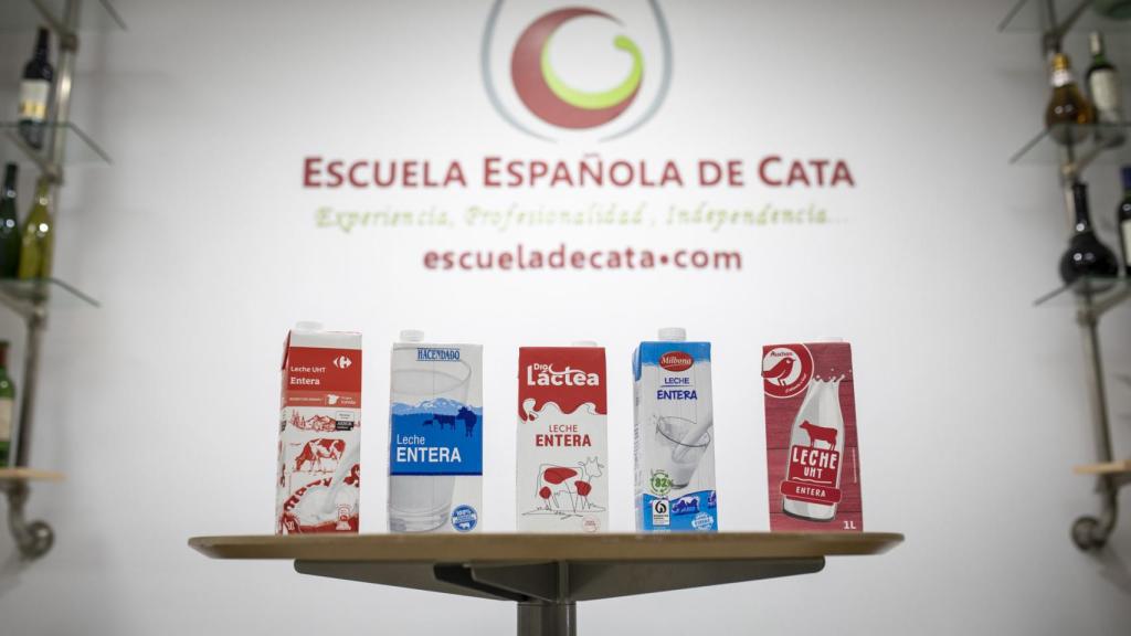 Los cinco bricks de leche entera testados durante la cata.