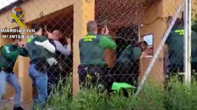 La Guardia Civil entra en una finca toledana que escondía 1.800 plantas de marihuana: Al suelo