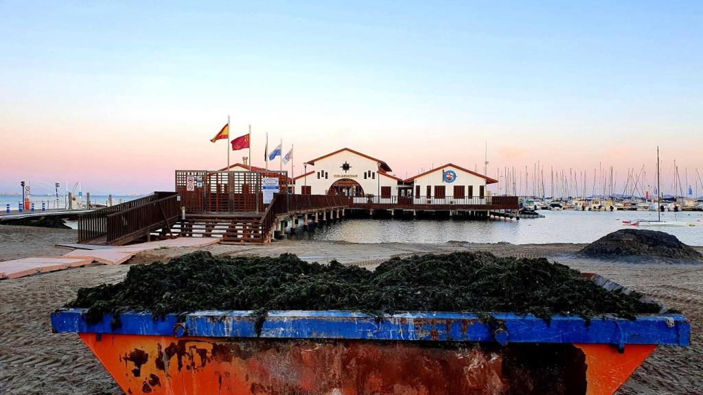 Un contenedor lleno de algas en una playa de Los Alcázares.