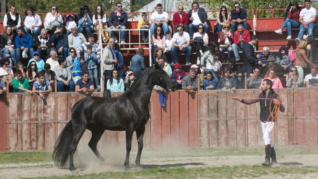 La Pascua de Padrón.