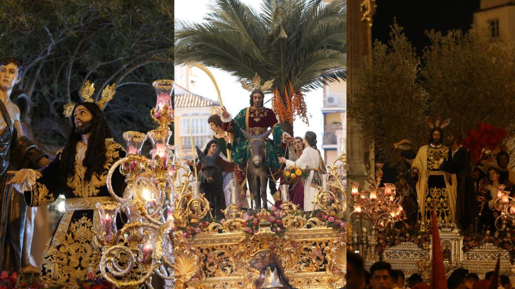 Los árboles de la Semana Santa de Málaga.