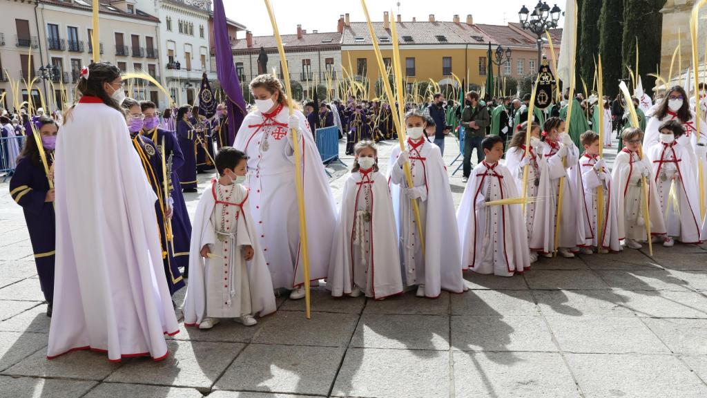 Domingo de Ramos en Palencia