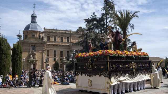 Procesión de 'La Borriquilla' el Domingo de Ramos en Salamanca