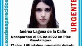 Cartel de Sos Desaparecidos en el que alerta de la desaparición de Andrea Laguna de la Calle
