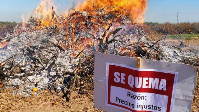 Quema de un campo de mandarinas como protesta contra los precios injustos. EE