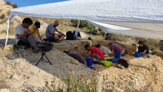Un equipo internacional descubre en Aspe un hábitat neandertal al aire libre de más de 120.000 años.