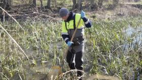 Muestreo en el río Zapardiel