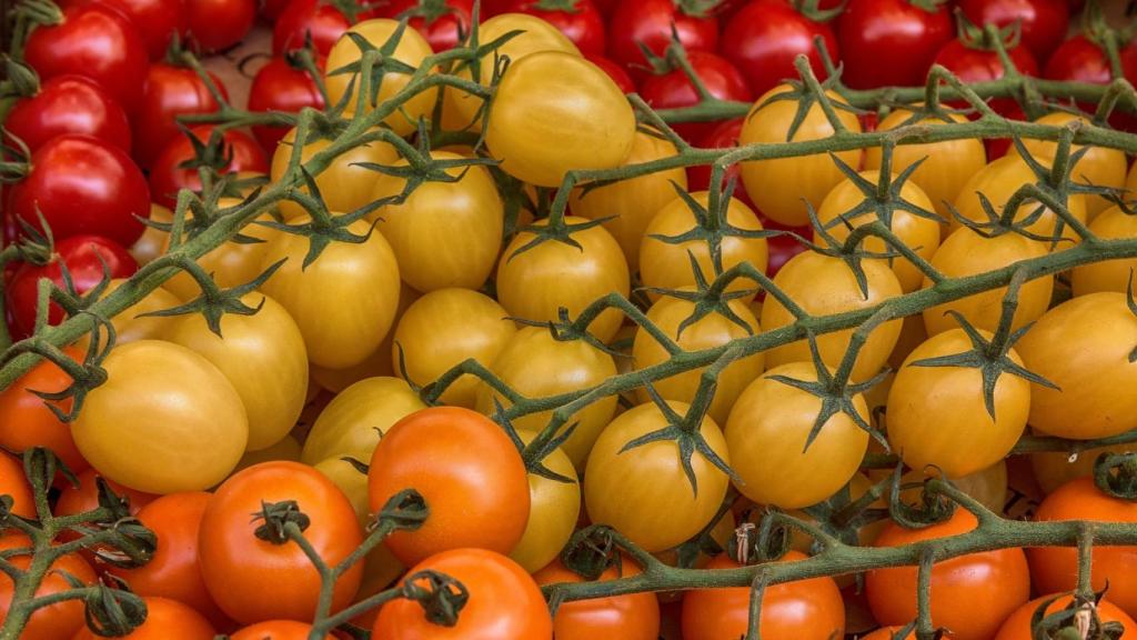 Tomates de múltiples colores.