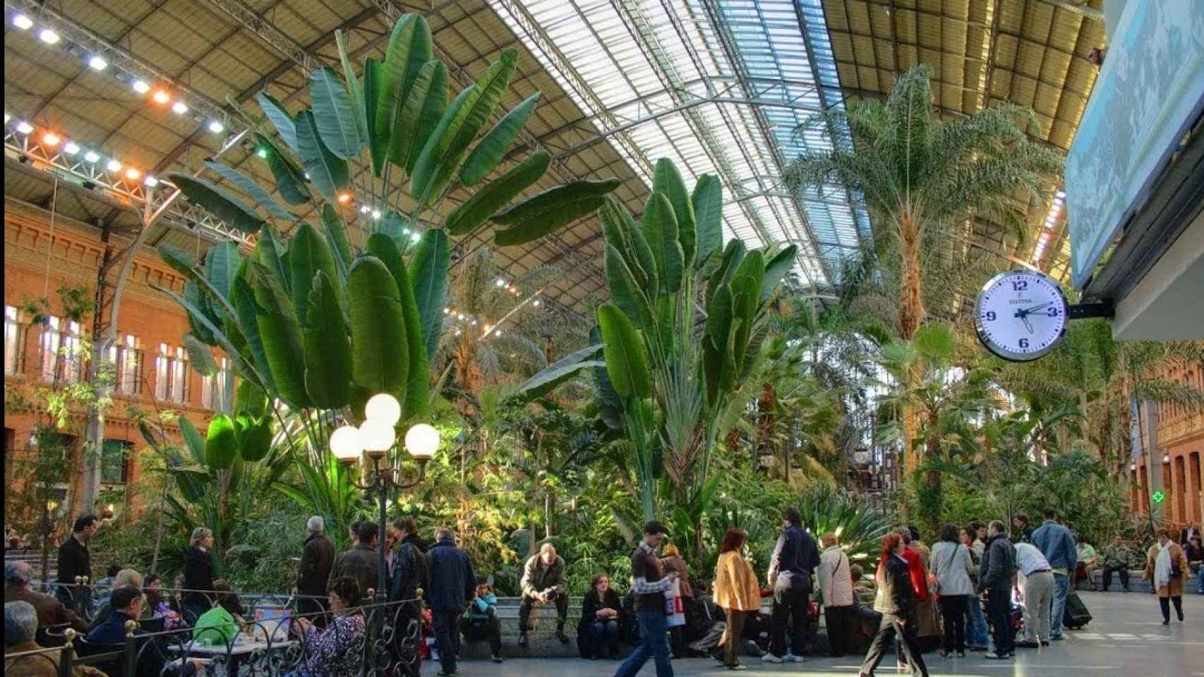 El jardín tropical de la Estación de Atocha.