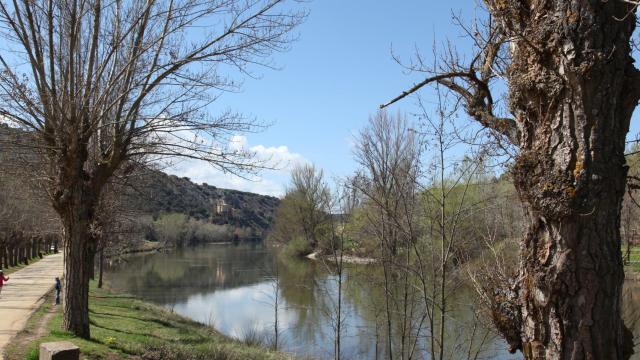 El famoso paseo entre San Polo y San Saturio, muy frecuentado por Machado y que tanto le inspiró.