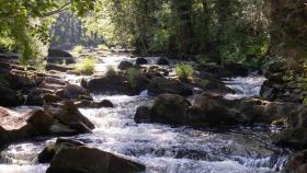 Área de riesgo de inundación de la demarcación hidrográfica Galicia-Costa.