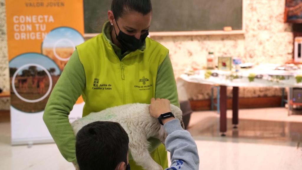 Cadena de valor joven en los colegios de Castilla y León