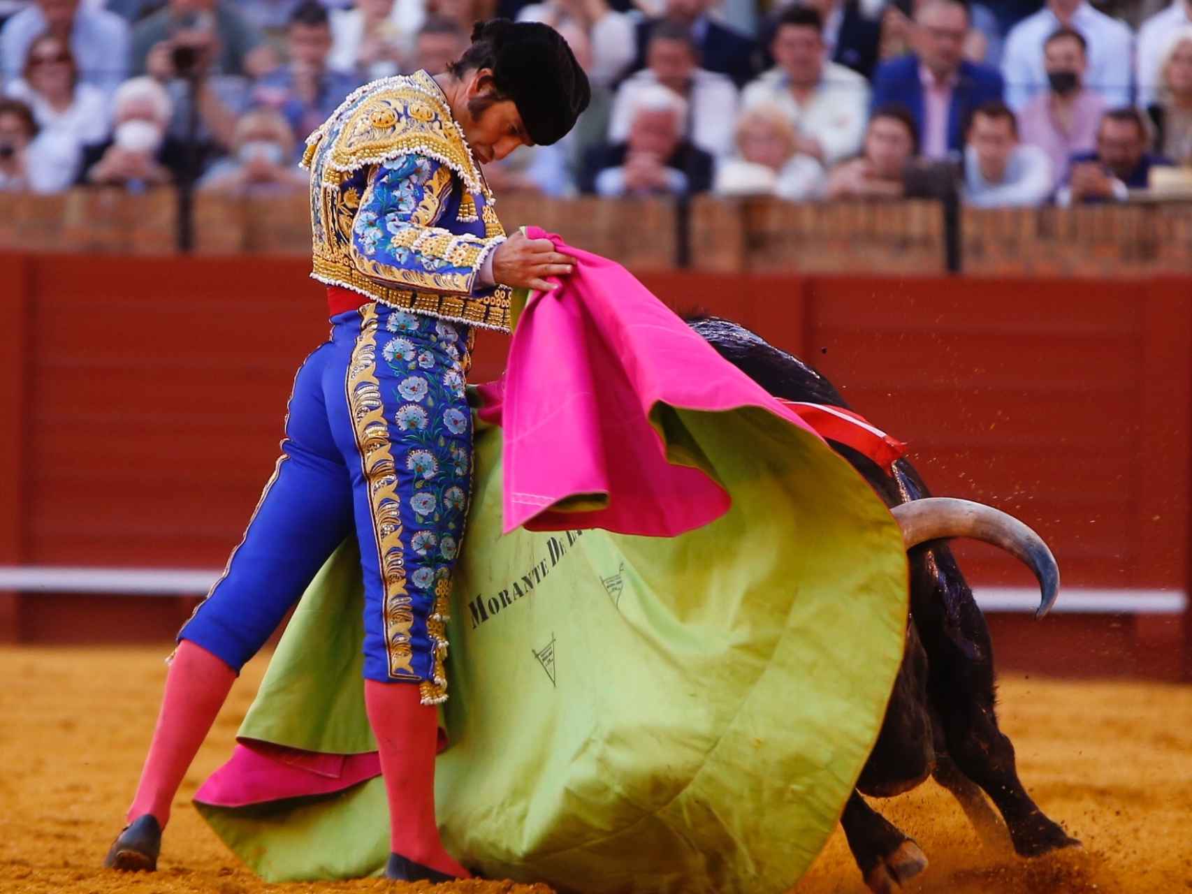 Morante de La Puebla, en un lance por verónicas en Sevilla.