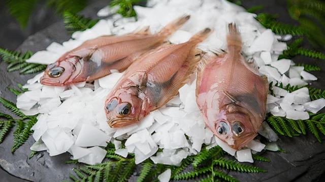 Es temporada de meigas: el pescado mágico que triunfa en las hogares gallegos