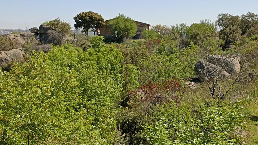 Día del Hornazo en el Teso de San Cristóbal de Villarino de los Aires