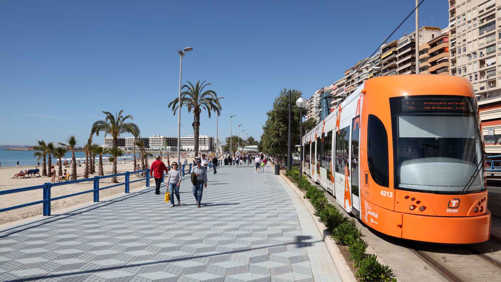 Imagen del TRAM en una parada de la ciudad de Alicante.