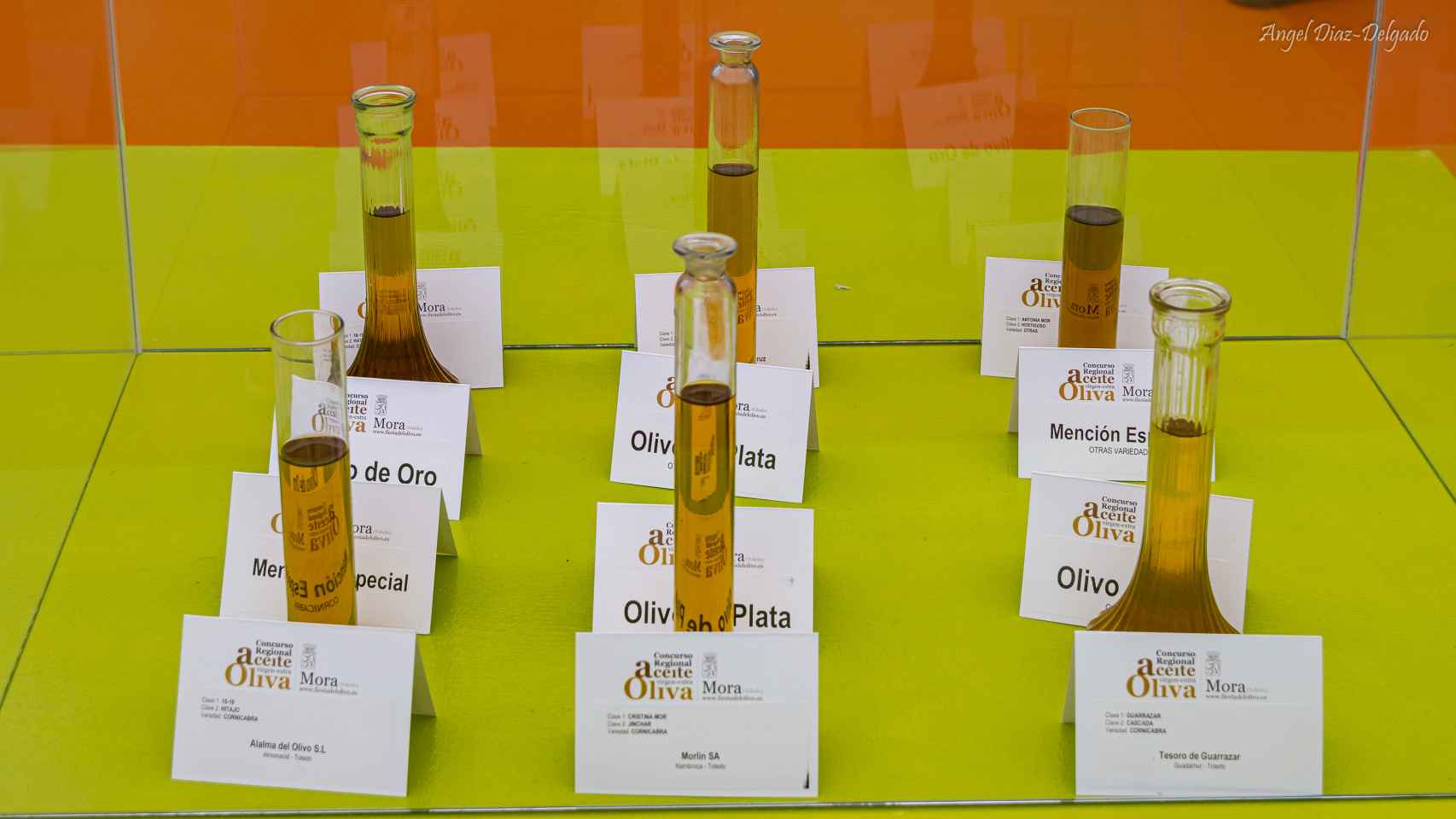 Ganadores del Concurso Regional de Aceite de Oliva de Mora (Toledo).