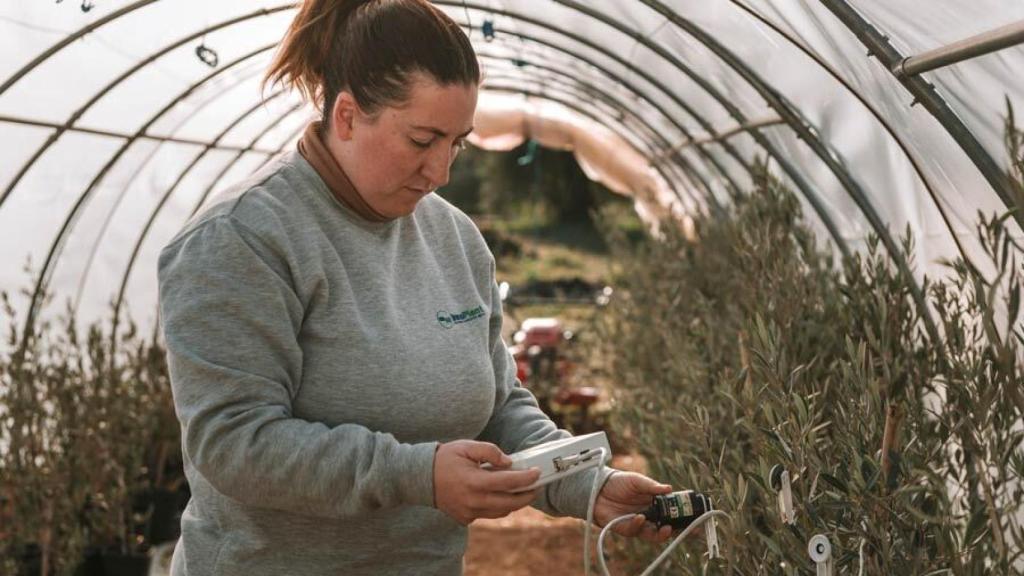 Eva Sánchez, doctora en Biología Vegetal, en el invernadero de Innoplant.