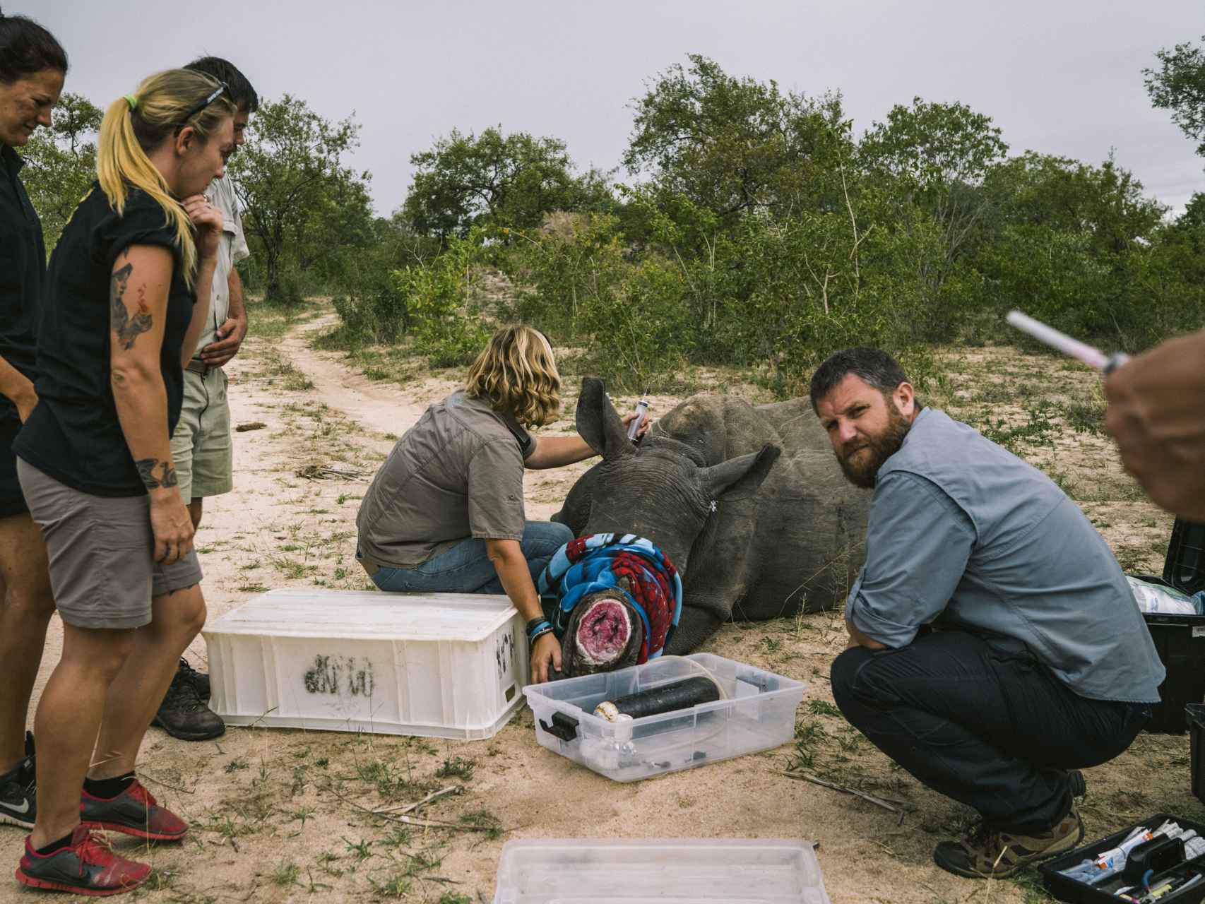 Beriain, haciendo una historia sobre los cuernos de rinoceronte en Sudáfrica, también objeto de tráfico.