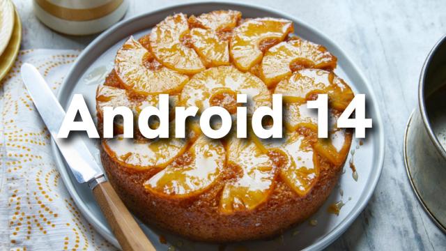 Android 14 ya tiene nombre en código