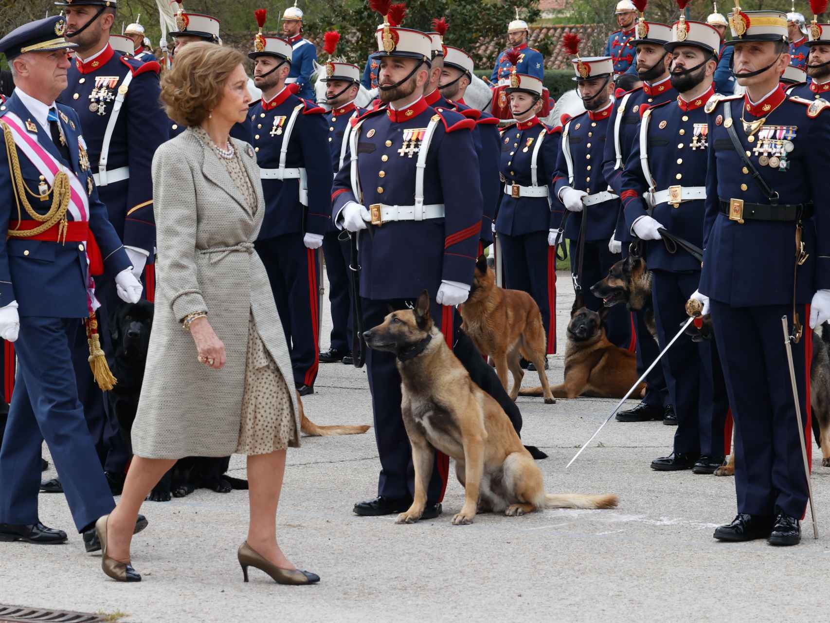 La reina Sofía este sábado por la mañana presidiendo un acto oficial.