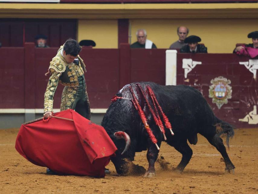 Profundo muletazo de Tomás Rufo al sexto de Garcigrande en Alba de Tormes