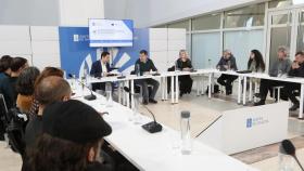 El conselleiro de Cultura, Educación e Universidade, Román Rodríguez, en la presentación de ayudas a las industrias culturales.