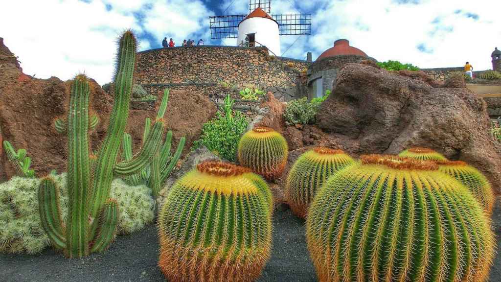 Jardín de cactus.