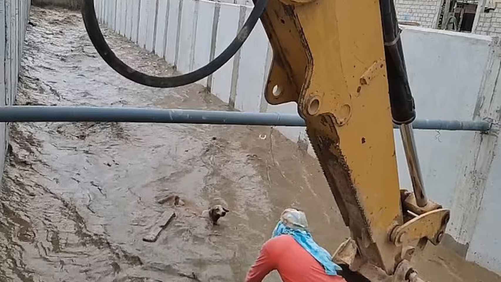 El conmovedor rescate con una excavadora a un perro que estaba a punto de morir ahogado