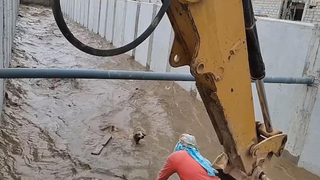 El conmovedor rescate con una excavadora a un perro que estaba a punto de morir ahogado